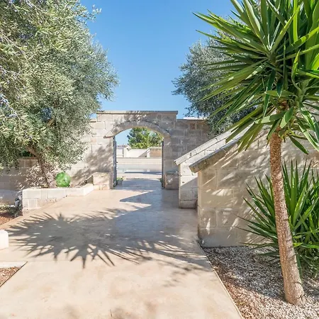 Niraclo By Raro Каровиньо