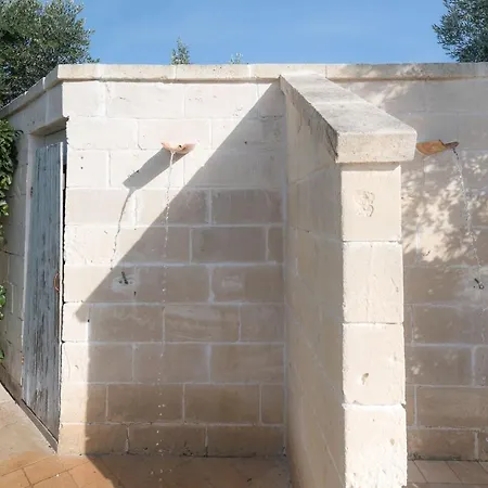 Niraclo By Raro Carovigno